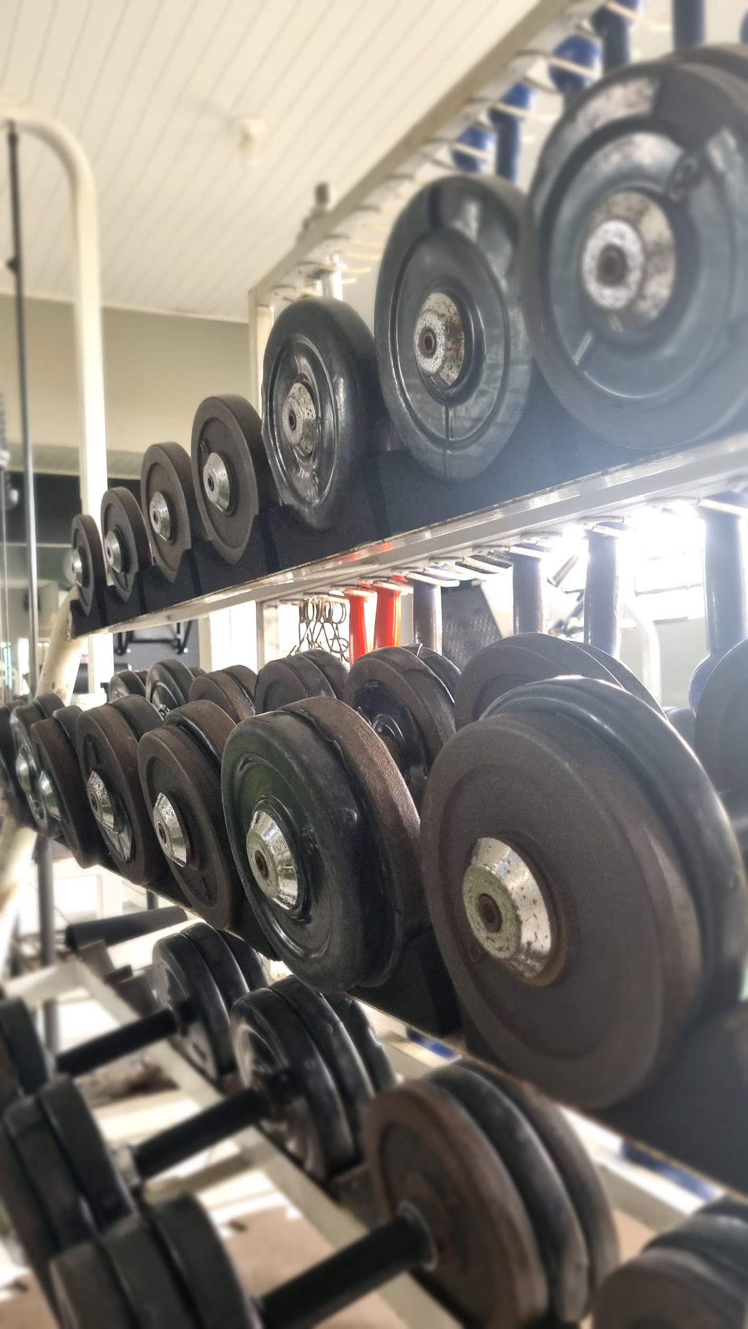 Halteres da Body & Action Academia
