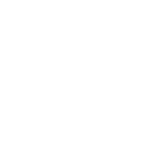 Logo Dener Ribeiro